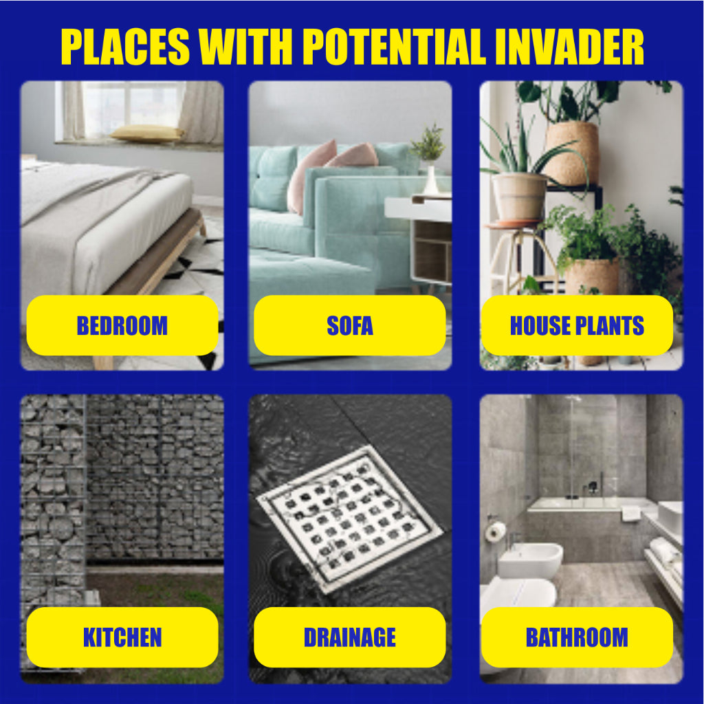 Koala Home Bed Bug Spray Bedbugs Pesticides Killer Spray Insecticide Spray Off Repellent Spray Eliminate Repel