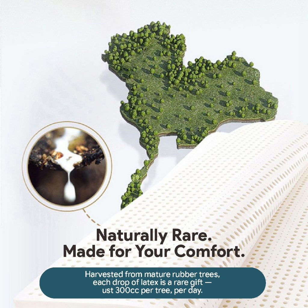 Koala Home Latex mattress/foldable mattress /Japanese Foldable Antibacterial Mattress