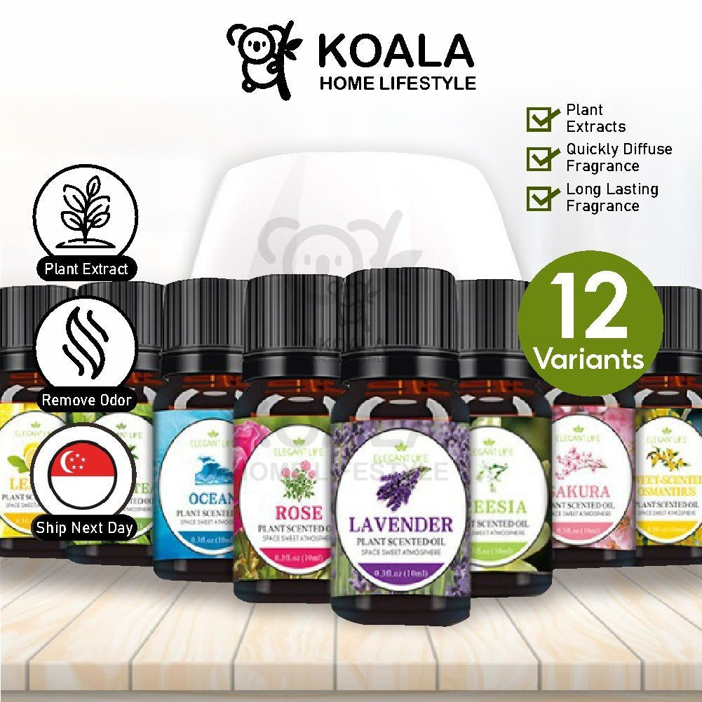 Bathroom Aromatherapy & Essential Oil