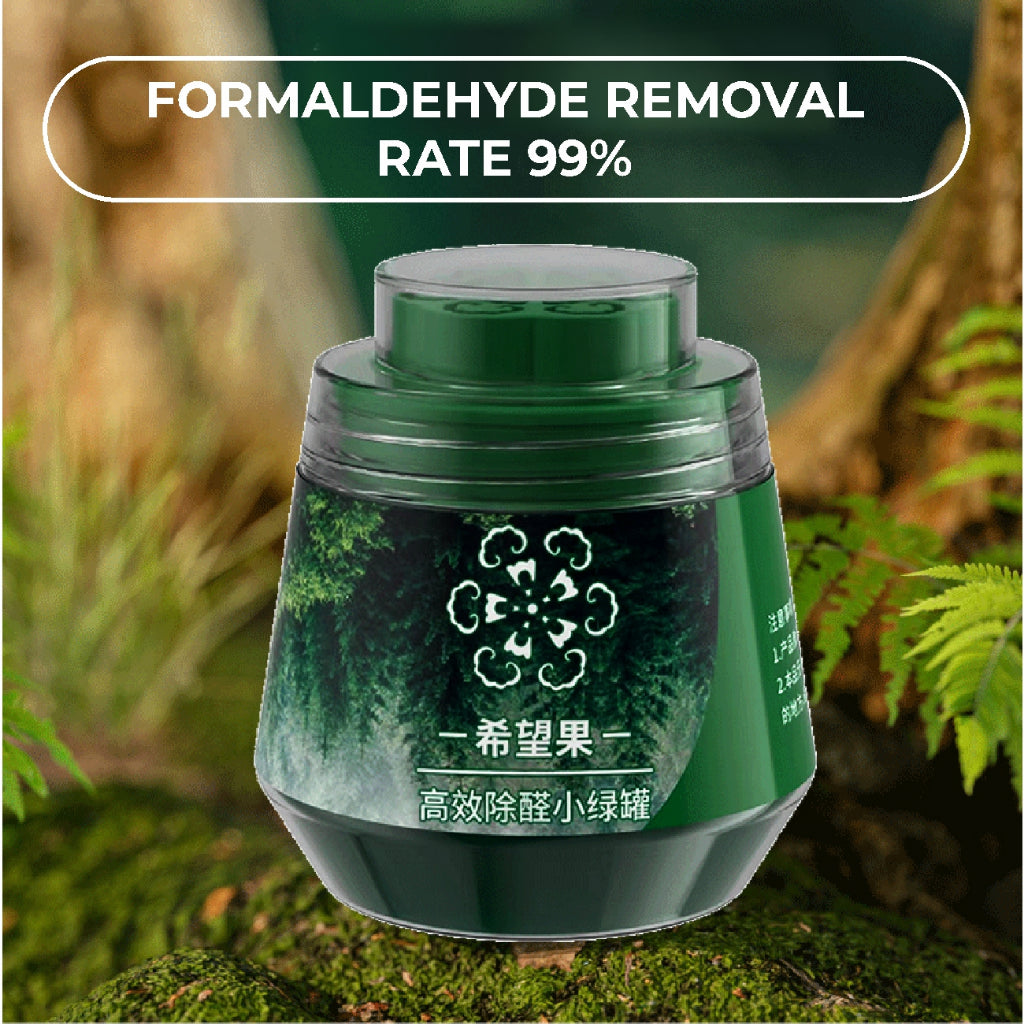 Koala Home Formaldehyde remover Formaldehyde Eliminator Household  Absorbent Purifier