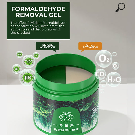 koala Home Formaldehyde remover Mini Formaldehyde Eliminator Household  Absorbent Purifier